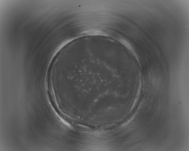 X0000066931141200604141951