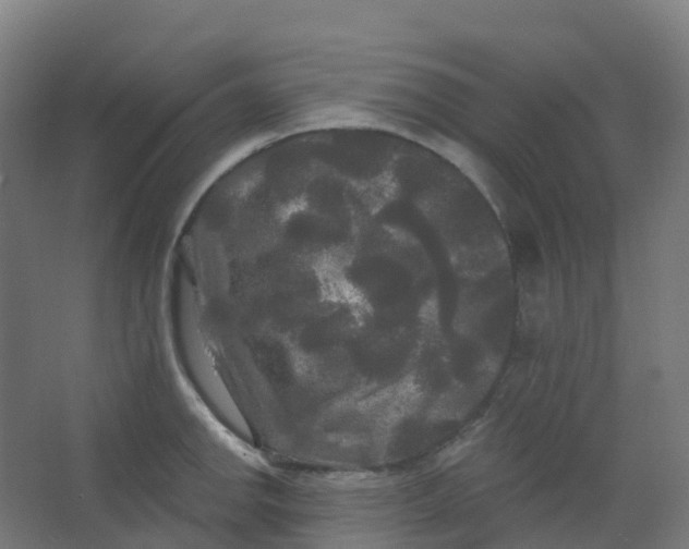 X0000066931142200604141951