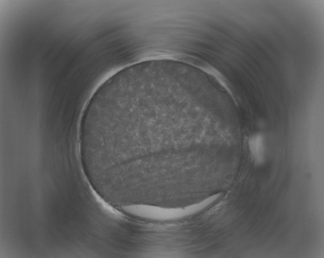 X0000066931143200604141951