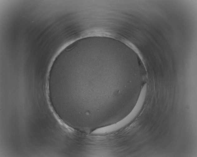 X0000066931144200604141951