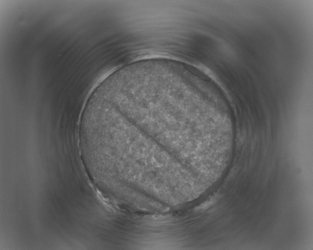 X0000066931145200604141951