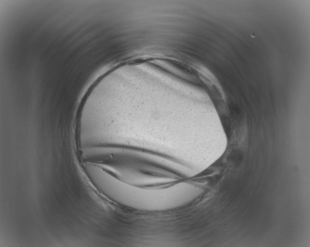 X0000066931146200604141951