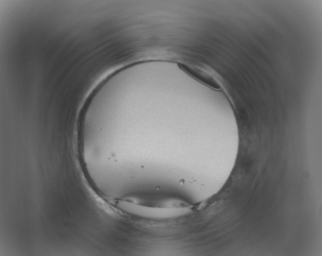 X0000066931147200604141951