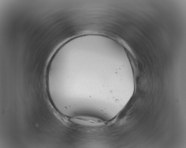 X0000066931148200604141951