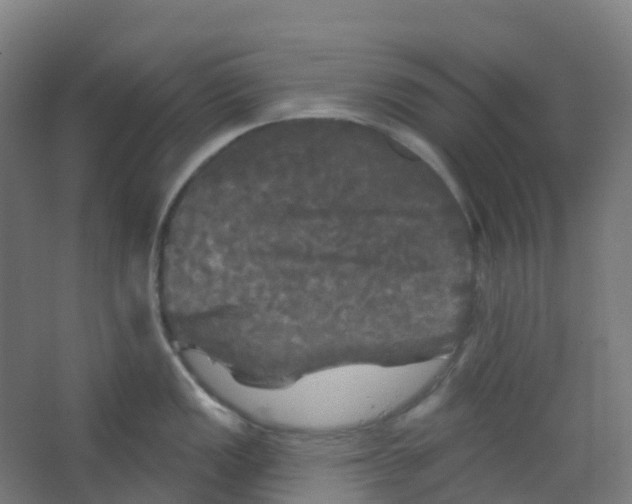 X0000066931149200604141951