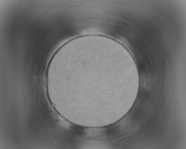 X0000066931150200604141951