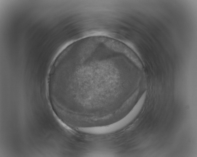 X0000066931151200604141951