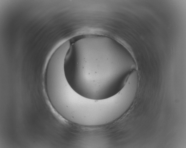 X0000066931152200604141951