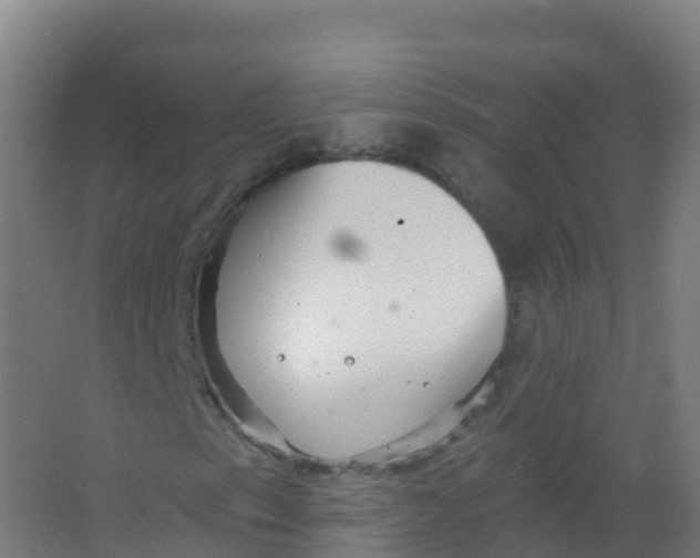 X0000066931153200604141950