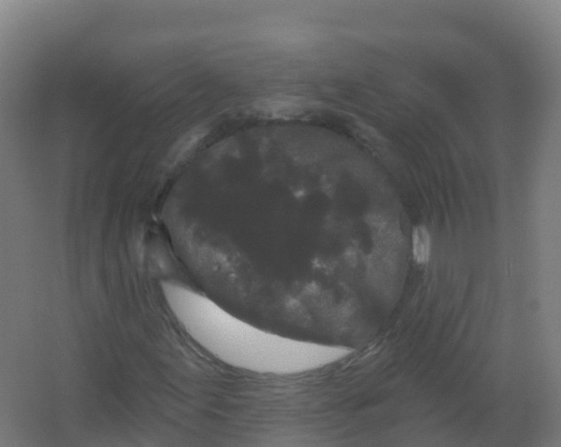 X0000066931155200604141950