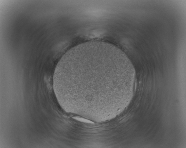 X0000066931156200604141950