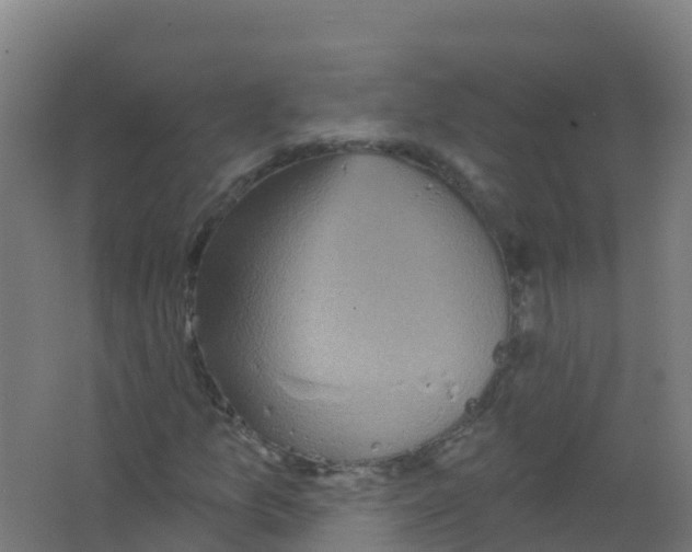 X0000066931157200604141950