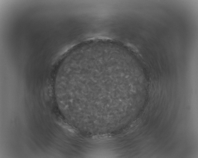 X0000066931159200604141950