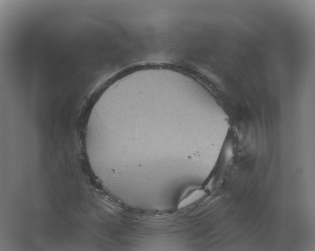 X0000066931160200604141950