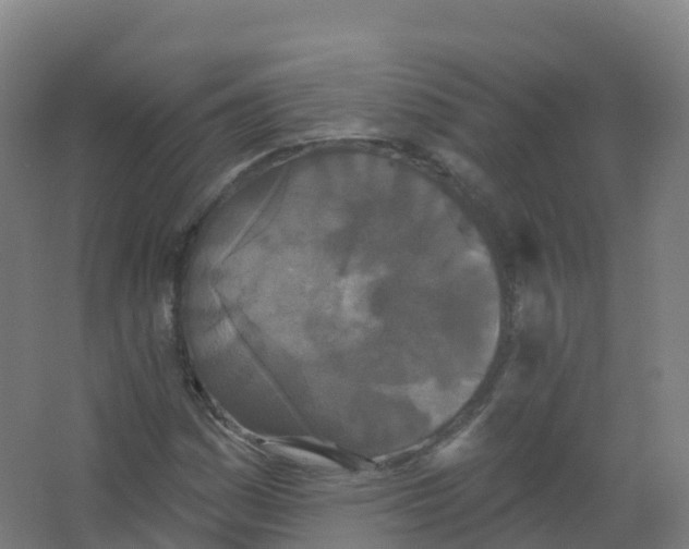 X0000066931161200604141950