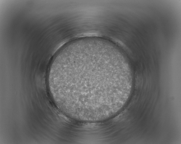 X0000066931162200604141950