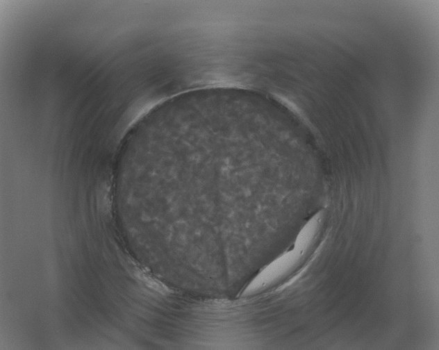 X0000066931163200604141950