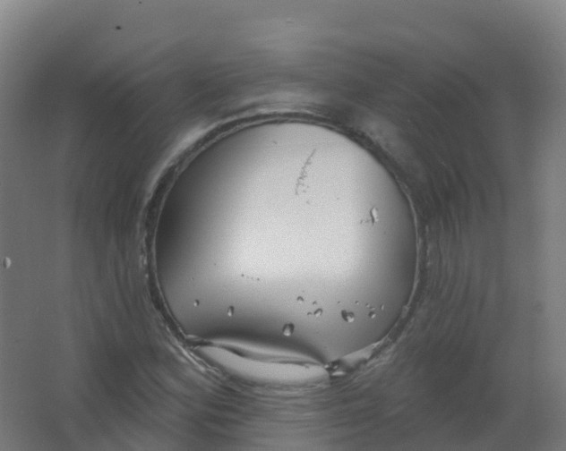 X0000066931164200604141950