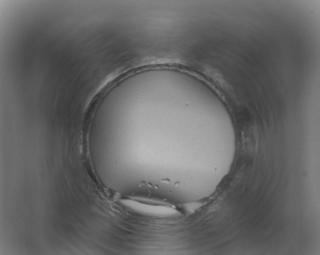 X0000066931165200604141950