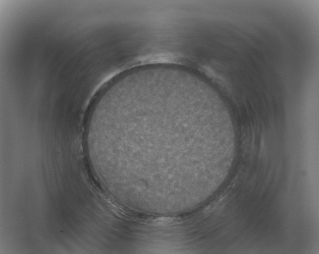 X0000066931166200604141950