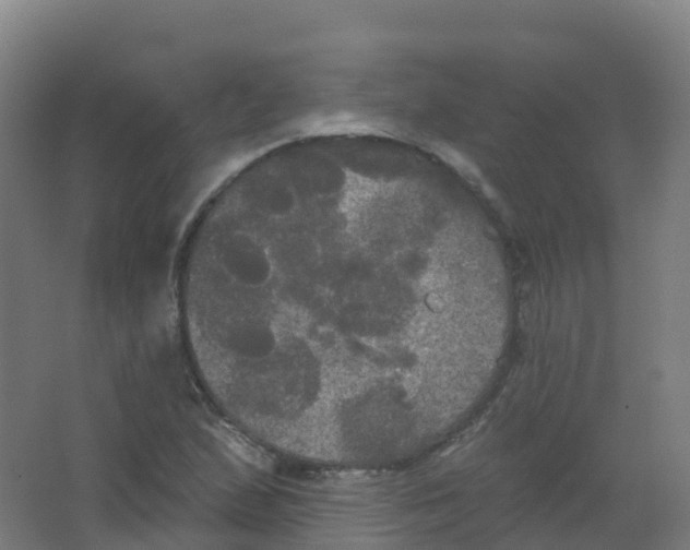 X0000066931167200604141950