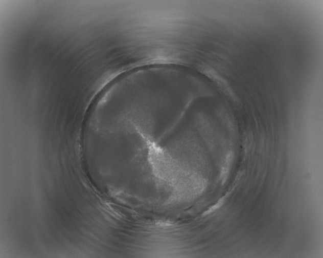 X0000066931170200604141950