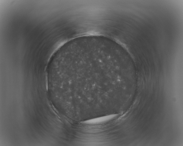 X0000066931171200604141950