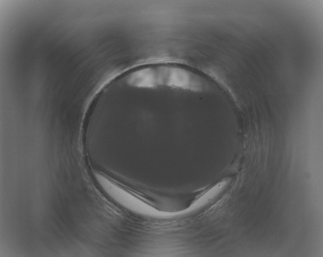 X0000066931173200604141950