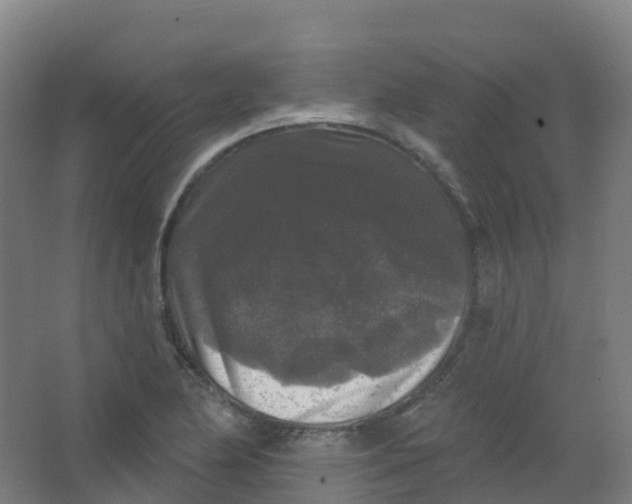 X0000066931174200604141950