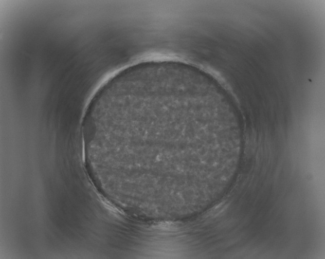 X0000066931175200604141950