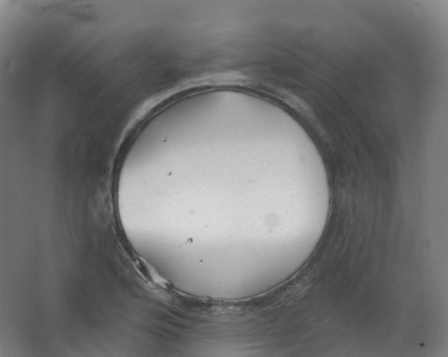 X0000066931176200604141950