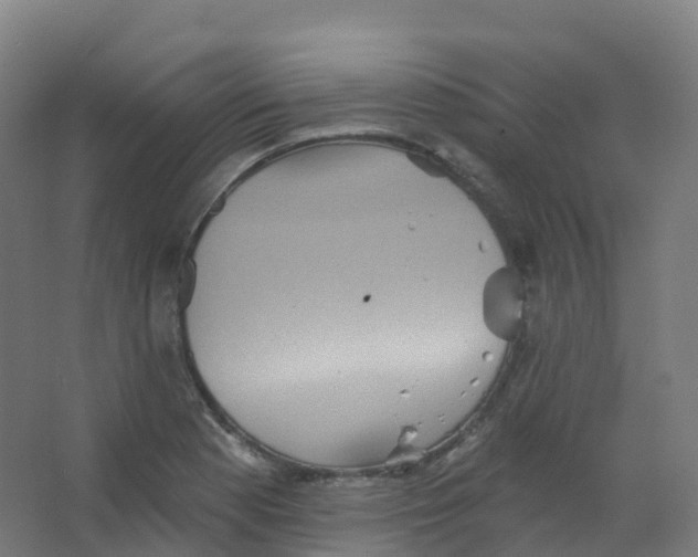 X0000066931177200604141950