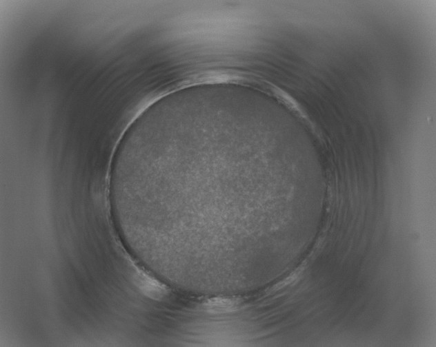 X0000066931178200604141950