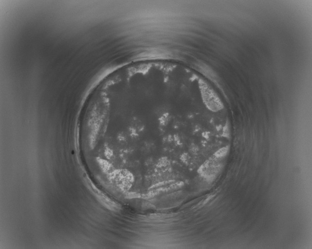 X0000066931179200604141950