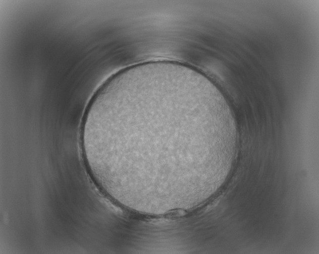 X0000066931182200604141950