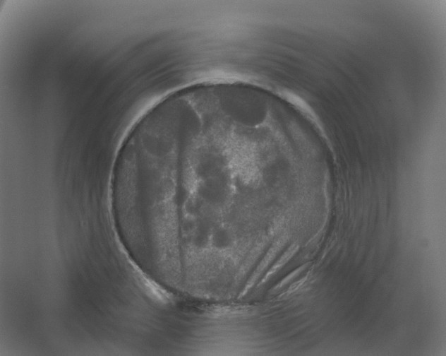 X0000066931183200604141950