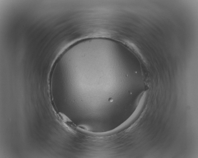 X0000066931184200604141950