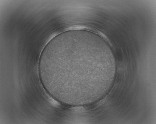 X0000066931186200604141950