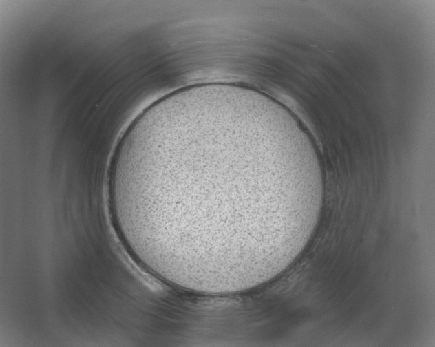 X0000066931187200604141950