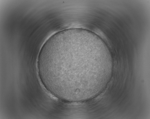 X0000066931190200604141950