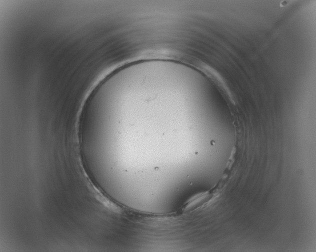 X0000066931192200604141950