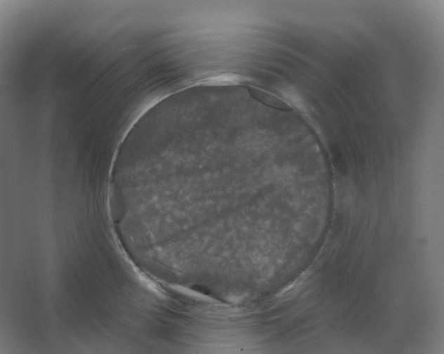 X0000066931194200604141950