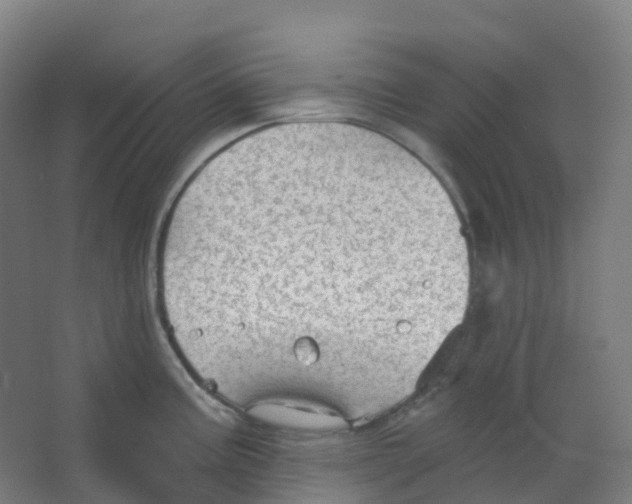 X0000066931195200604141950