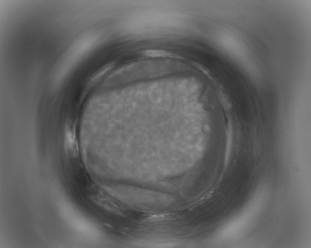 X0000066931198200604141950