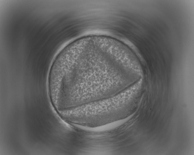 X0000066931199200604141950