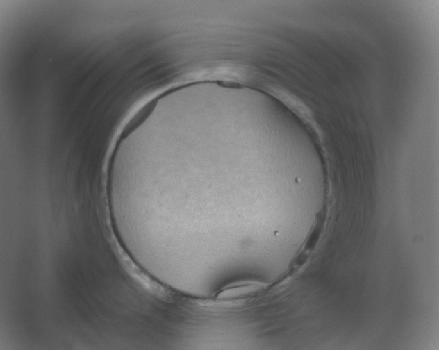 X0000066931200200604141950