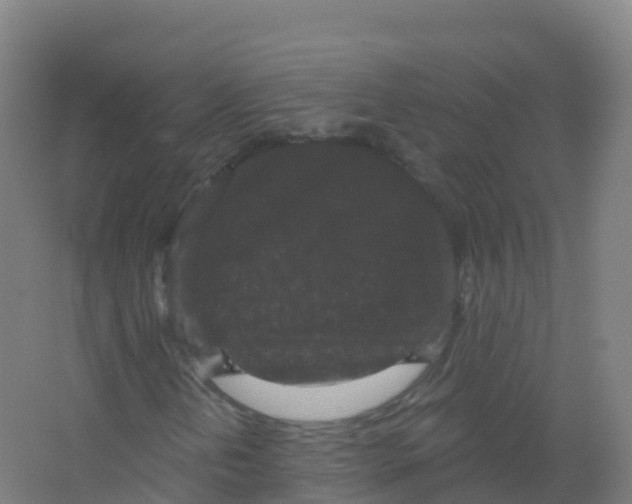 X0000066931202200604141949