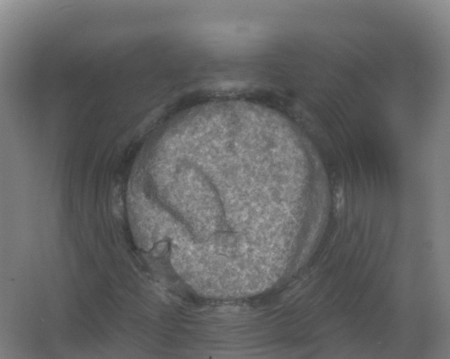 X0000066931204200604141949