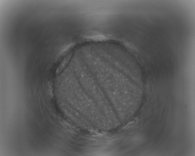 X0000066931205200604141949