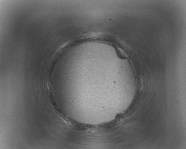 X0000066931206200604141949